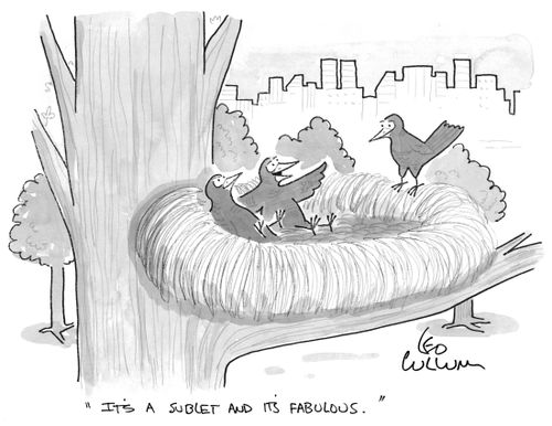 "It's a sublet and it's fabulous."