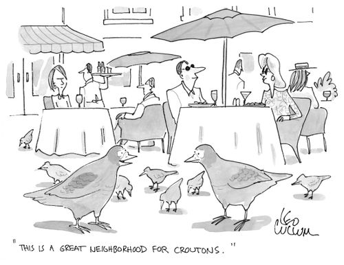 "This is a great neighborhood for croutons."