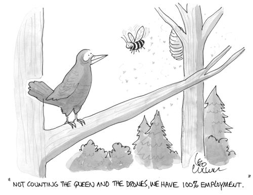 "Not counting the queen and the drones, we have 100% employment."