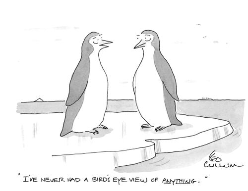 "I've never had a bird's eye view of anything."