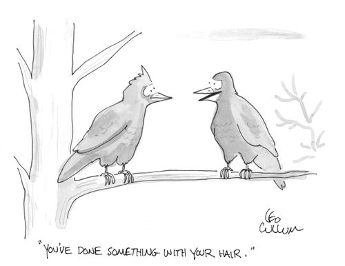 "You've done something with your hair."