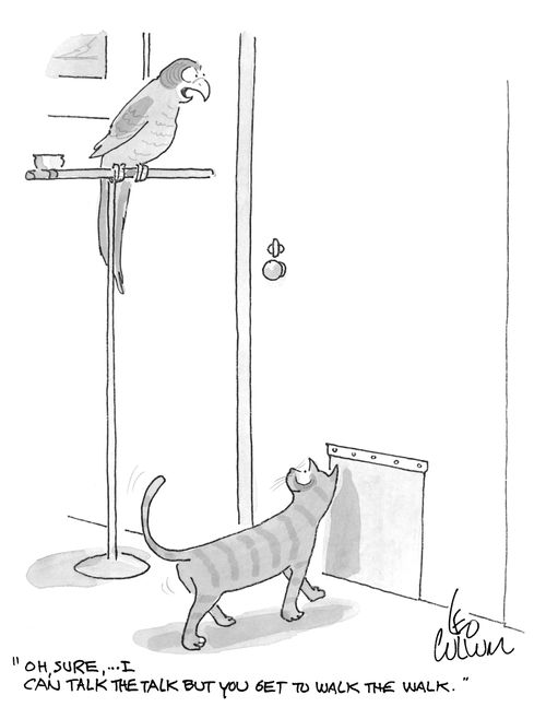 "Oh, sure, … I can talk the talk but you get to walk the walk."