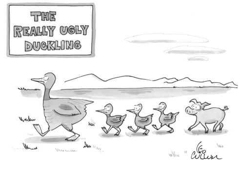 (The really ugly duckling)