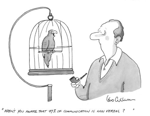 "Aren't you aware that 97% of communication is non verbal?"