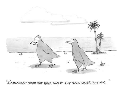 "I'm heading north but these days it just seems easier to walk."