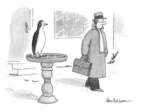 A man walks past his bird bath in the winter; a penguin sitting on it looks at him.