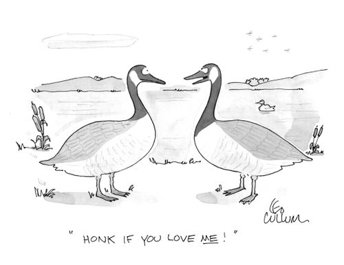 "Honk if you love me!"