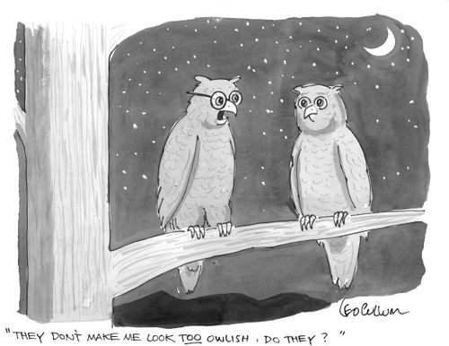 "They don't make me look too owlish, do they?"