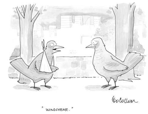 "Windshear."