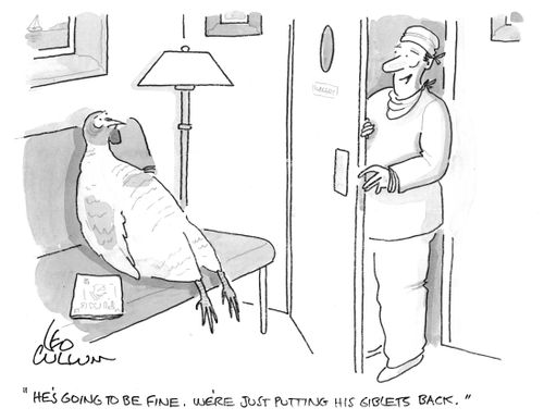 "He's going to be fine. We're just putting his giblets back."