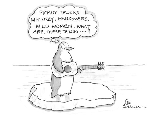 (Pickup trucks, whiskey, hangovers, wild women, what are these things....?)