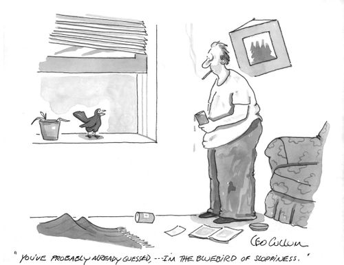 "You've probably already guessed, ...I'm the bluebird of sloppiness."