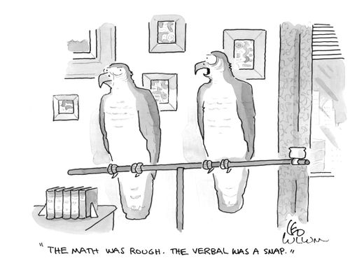 "The math was rough. The verbal was a snap."