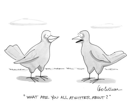 "What are you all atwitter about?"