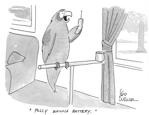 "Polly wanna battery."