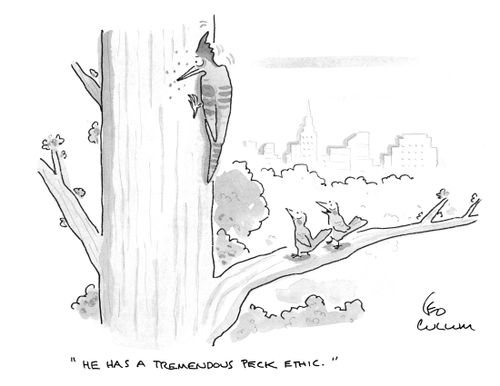 "He has a tremendous peck ethic."