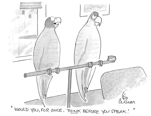 "Would you, for once, think before you speak!"