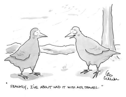 "Frankly, I've about had it with air travel."