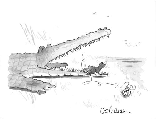 Crocodile Flossing