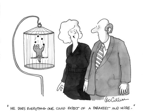 "He does everything one could expect of a parakeet and more."