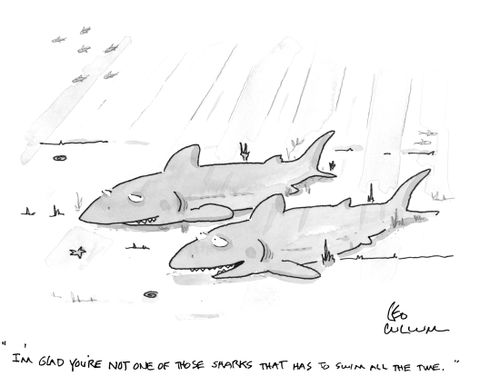 "I'm glad you're not one of those sharks that has to swim all the time."