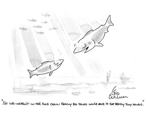 "If we weren't in the food chain really big things would have to eat really tiny things."