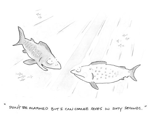 "Don't be alarmed but I can change sexes in sixty seconds."