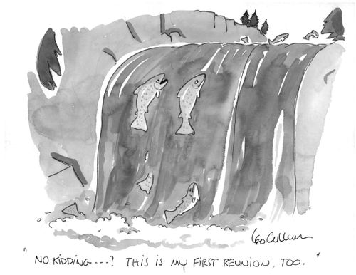 "No kidding …? This is my first reunion, too."