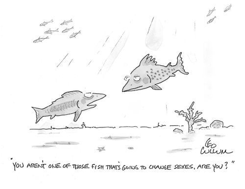 "You aren't one of those fish that's going to change sexes, are you?"