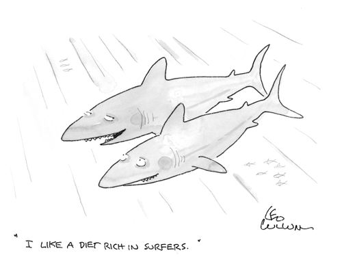 "I like a diet rich in surfers."