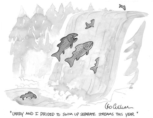 "Larry and I decided to swim up separate streams this year."