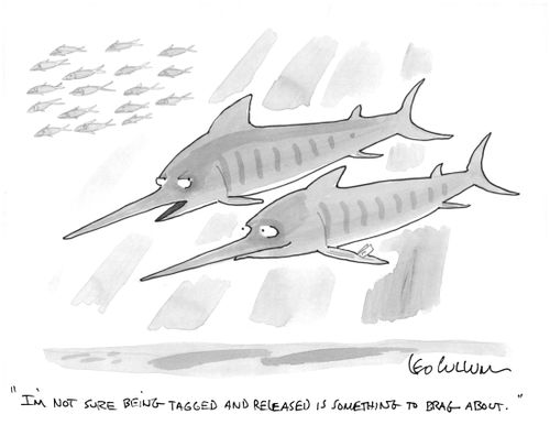 "I'm not sure being tagged and released is something to brag about."
