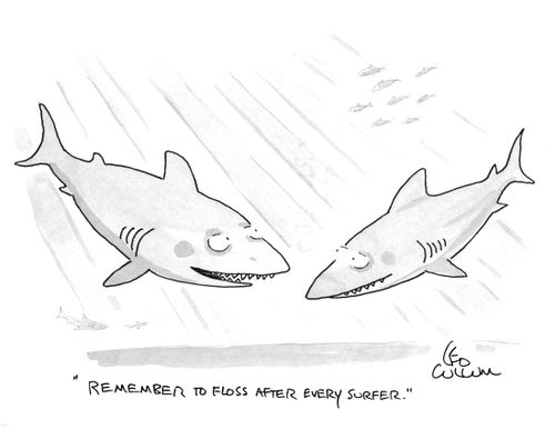 "Remember to floss after every surfer."