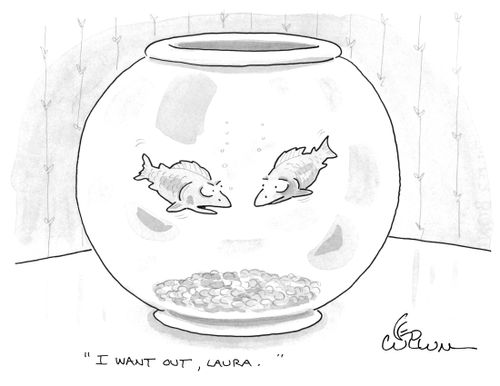 "I want out, Laura."