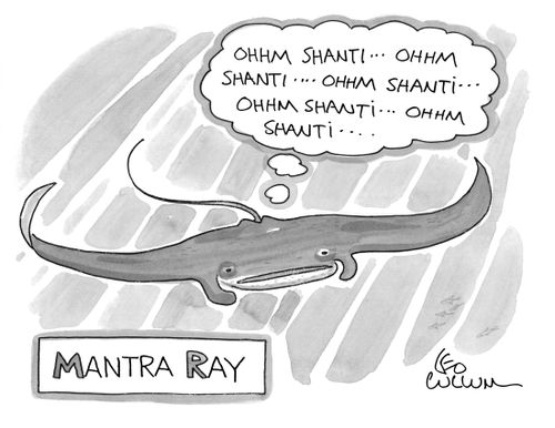 (Ohhm Shanti… Ohhm shanti…. Ohhm shanti… Ohhm shanti… Ohhm shanti….) (Mantra Ray)