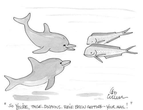 "So you're those dolphins. We've been getting your mail!"