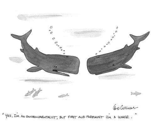"Yes, I'm an environmentalist, But first and foremost I'm a whale."