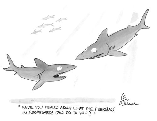 "Have you heard about what the fiberglass in surfboards can do to you?"