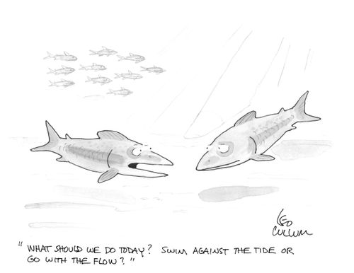 "What should we do today? Swim against the tide or go with the flow?"