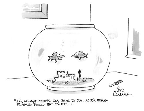 "I'm always afraid I'll come to just as I'm being flushed down the toilet."