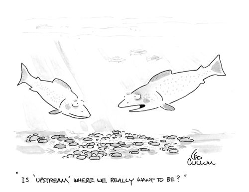 "Is 'Upstream' where we really want to be?"