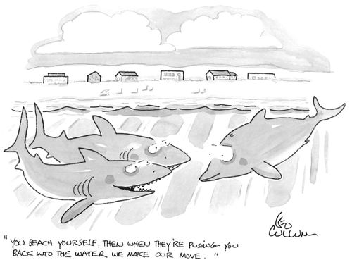 "You beach yourself, then when they're pushing you back into the water we make our move."