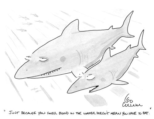 "Just because you smell blood in the water doesn't mean you have to eat."