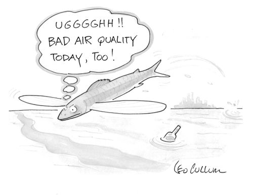 "Ugggghh!! Bad air quality today, too!"