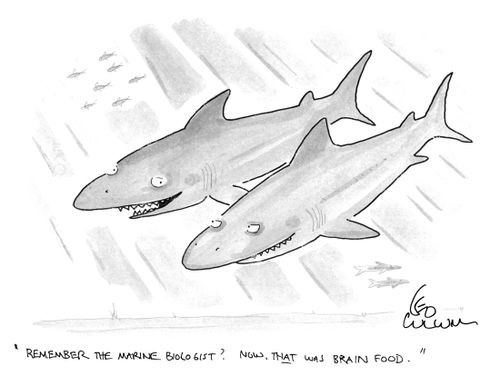 "Remember the marine biologist? Now, that was brain food."