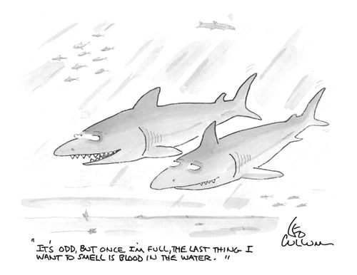 "It's odd, but once I'm full, the last thing I want to smell is blood in the water."