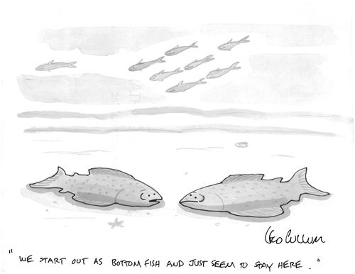 "We start out as bottom fish and just seem to stay here."