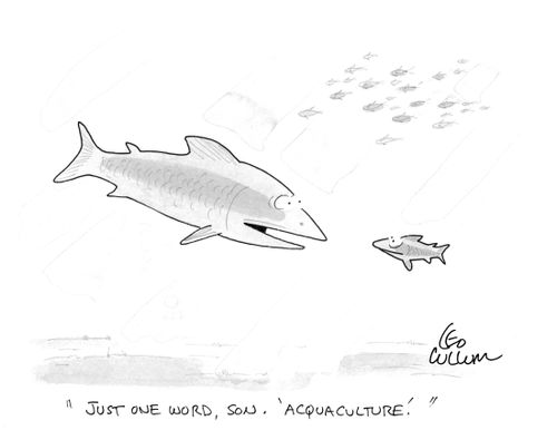 "Just one work, son, 'Acquaculture'."