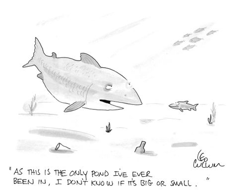 "As this is the only pond I've ever been in, I don't know if it's big or small."