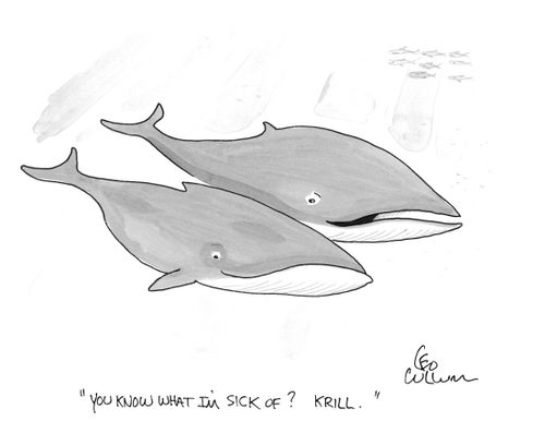 "You know what I'm sick of? Krill."
